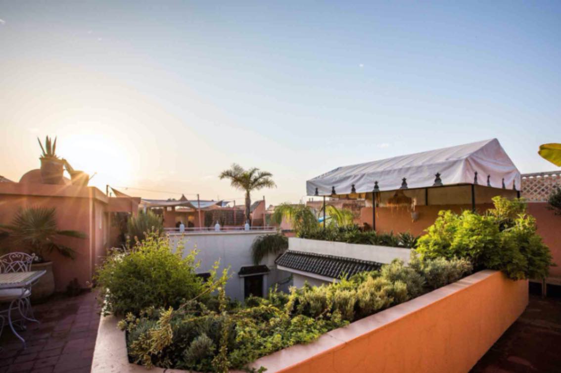 Private Yoga in the Heart of Marrakech: What to Expect