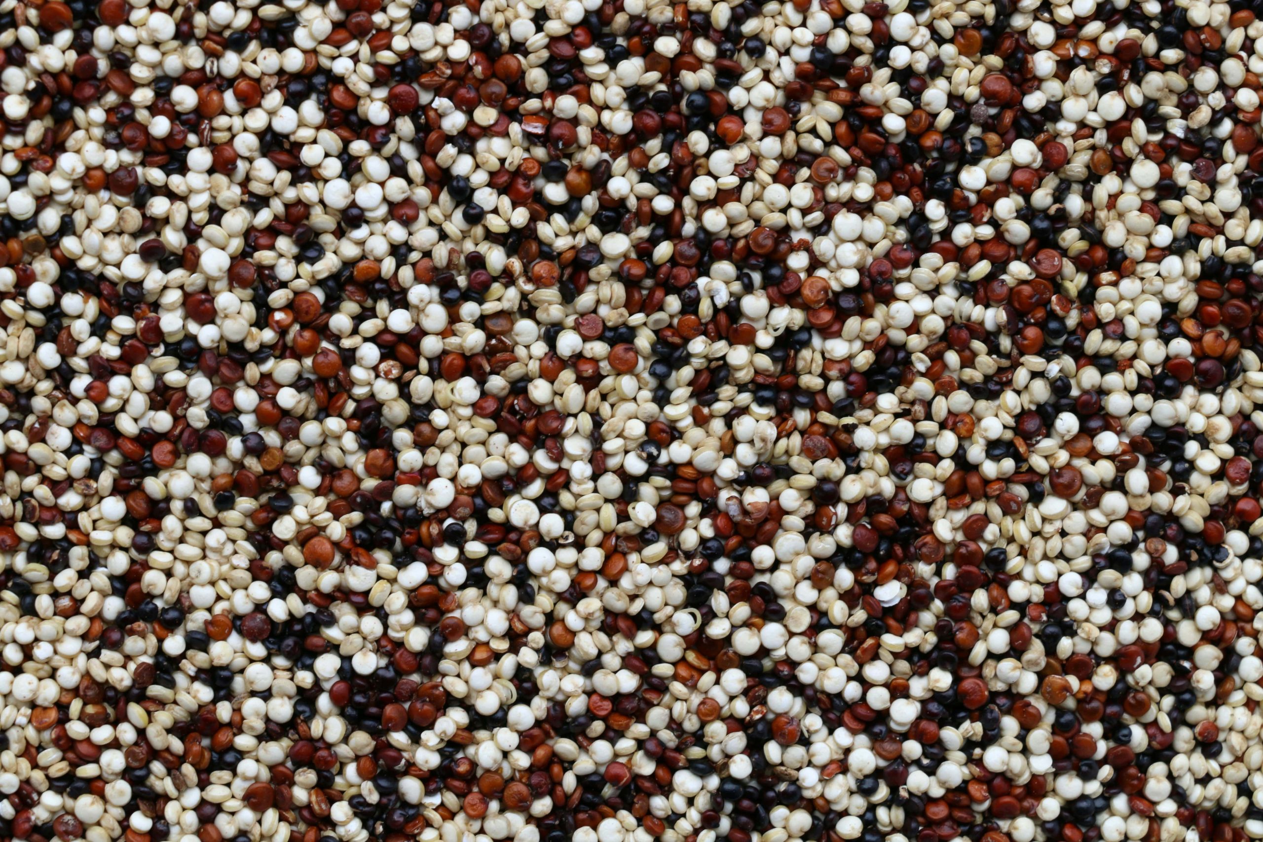 Why Quinoa Is A Super-food